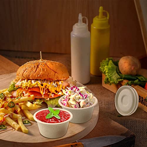 Gobelets à condiments compostables plats en papier jetables pour sauces et échantillons