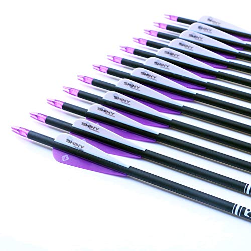 Image of TIGER ARCHERY 30 inch Carbon Arrows for Compound Recurve Bow Hunting Target
