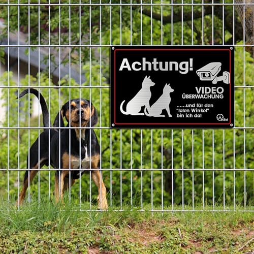 ZIENZENGYA 30x20cm Freilaufender Hund Videoüberwacht Metall Aluminium, Videoüberwachung Schild Hund Alu mit Vorgebohrten Löchern, Achtung Schilder Lustig und für den Toten Winkel Bin Ich Da