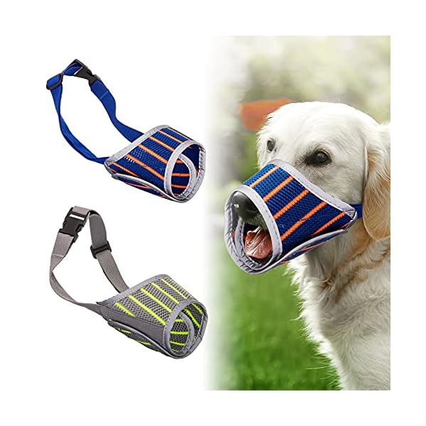 What Size Dog Muzzle Do I Need