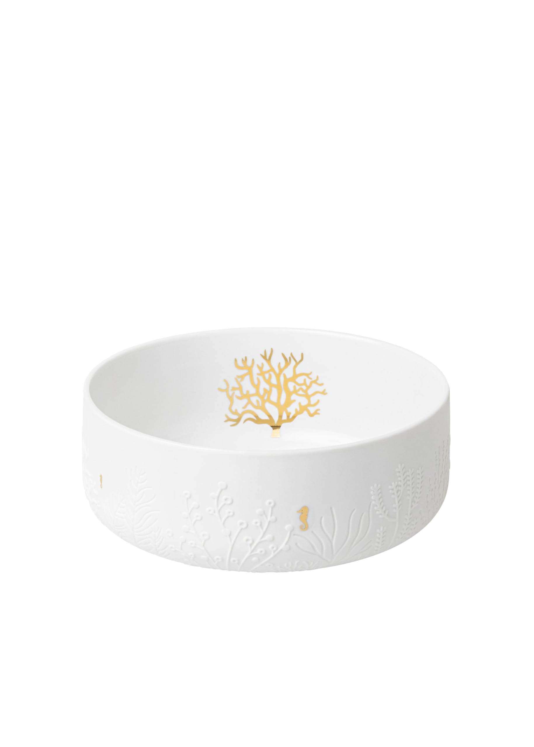 Räder Bol hippocampe et corail en porcelaine fine gravee style minimaliste chic