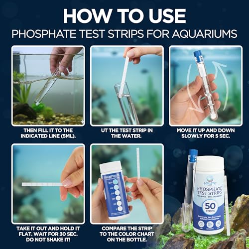 Image of Phosphate Test Strips (50-Pack) - Quick & Accurate Pool Phosphate Test Kit for Spas & Hot Tubs - Easy Phosphate Tester for Water Quality, Reliable Phosphate Testing Kit with Color Chart