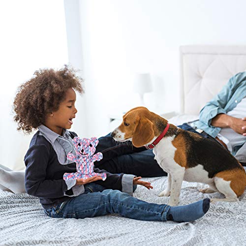 Brinquedo para cães Tehaux - 4 peças de brinquedos para cães de estimação de corda de algodão para t