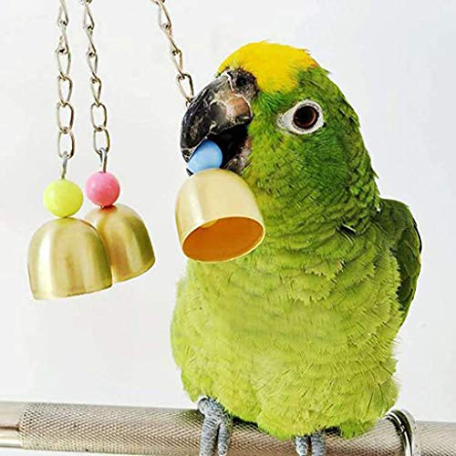 Small Bird Swing Toys, Bird Parrot Swing Chewing Toys - Hanging Bell Birds Cage Toys 8 Pcs - Image 8