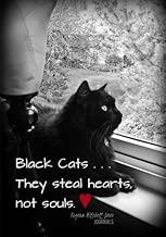 Black Cats - A Journal