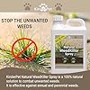 KinderPet Eco Weed Killer Organic Chemical Free WeedKiller 2.5L Refill Glyphosate Free Targets Paths Patios Driveways Dandelions Perennial Weeds Pet Child Bird Wildlife Safe Organic Natural #4