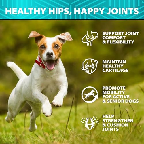 Image of Glucosamine for Dogs - Hip and Joint Supplement for Mobility, Cartilage Health - 30,000 mg per Pack - w / Omega-3 Fish Oil, Chondroitin, MSM - Dog Glucosamine Chews - Ideal for Senior Dogs - 120 Treats