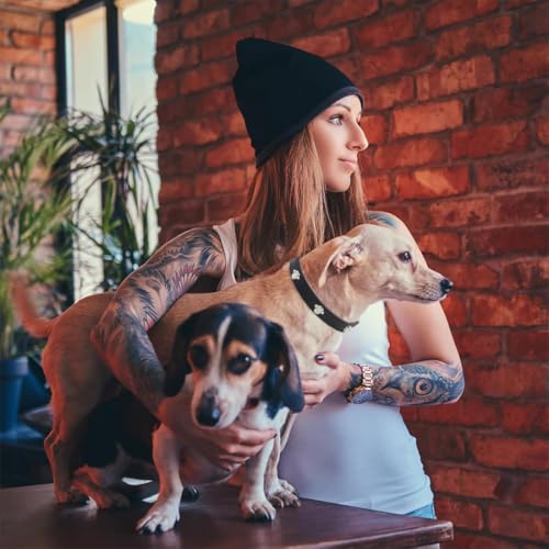 BDEPSTR Leder Katzenhalsband, Sicherheitshalsband für Katzen mit elastischem Gurt, Kätzchen Band mit Glocke, für Kätzchen Welpen Hunde Katzen-Dunkel-XS