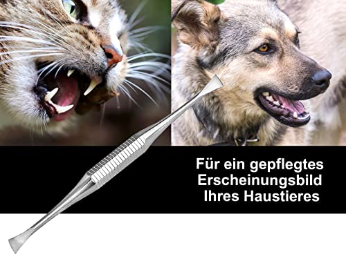 Mini Hunde Zahnsteinkratzer Zahnsteinentferner Haustier Zahnpflege Zahnreiniger für Tiere Zahnbürsten-Alternative aus Edelstahl