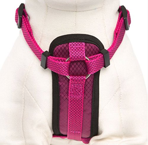 Kong Comfort Padded Chest Plate Dog Harness Offered By Barker Brands Inc thumb #1