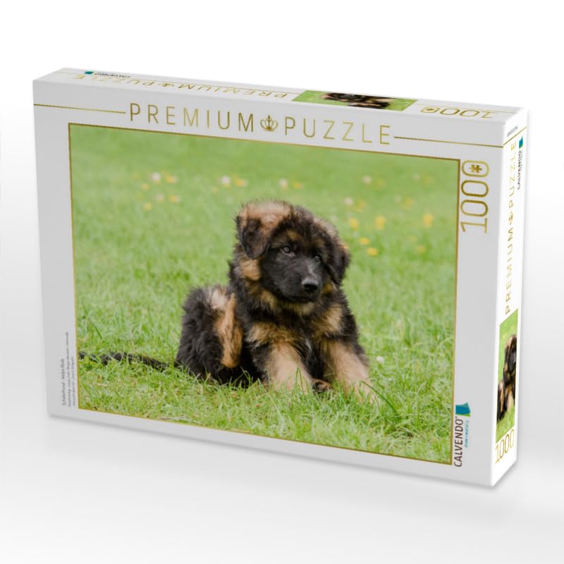 CALVENDO Puzzle „Junger Hund“ 1000 Teile – Premium-Fotopuzzle, 64 X 48 Cm, Für Erwachsene & Jugendliche Ab 14