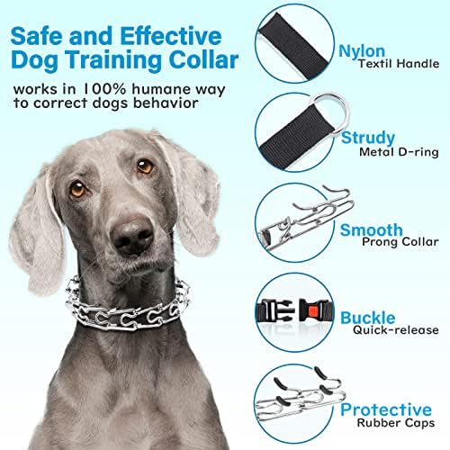 Can You Hurt A Dog With A Choke Collar