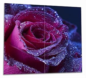 Wallario Herdabdeckplatte Rote Rosenblüte, 2-teilig