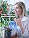 Homasy OceanMist 2.2L Humidifiers for Bedroom, 28dB Whisper-Quiet Cool Mist Humidifier, Easy to Clean Air Humidifier, Auto Shut-Off, 30H Work Time, Blue