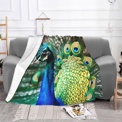Couverture en flanelle chaude et confortable pour chaise et bureau