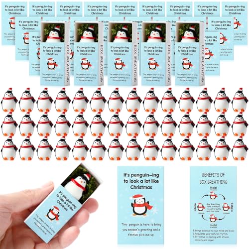 Cinnvoice 50 Sets Christmas Gifts Bulk Christmas Mini Box Breathing