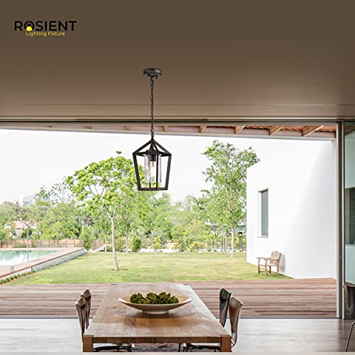 Rosient Outdoor Pendant Light, Exterior Hanging Lantern, 1- Light Porch Pendant Lighting Fixture In Oil Rubbed Bronze Finish With Seeded Glass #TOP5