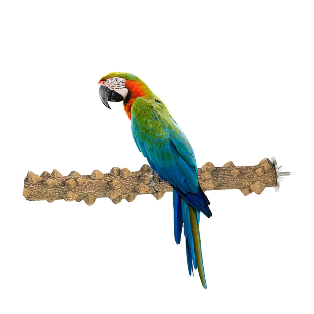 minkissy 3 Stücke Vogel Sitzstange Für Käfig Papagei Spielständer Natürliche Holz Vogel Spielzeug Ständer Für Papageien 25x2 5x2 5 cm Vögel Zubehör