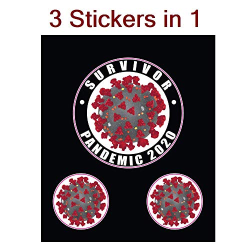 I Survived Outbreak 2020 Vinyl Sticker | 3 Decals in 1 | Single