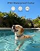 Jugbow Dog Shock Collar - 4500FT Dog Training Collar with Remote, IPX8 Waterproof Electric Dog Collar with 4 Training Modes, Security Lock, Rechargeable eCollar for 10-120lbs Dogs(Deep Blue) #4