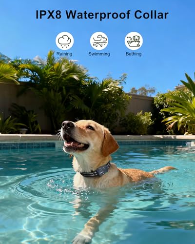 80% Off Dog Shock Collar - 4500FT Range with Remote - Image 6