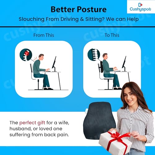 Image of Ergonomic Back Support for Office Chair & Car Seat | Lumbar Support Cushion for Back Pain Relief | Chair Back Support for Back Pain - Posture Corrector