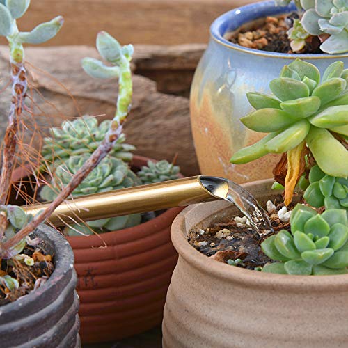 Arrosoir en acier inoxydable 0,3 l/0,9 l/1,3 l/1,5 l/2 l or ou argent pour plantes de maison avec poignée confortable, bec long, corps solide pour l'intérieur et l'extérieur