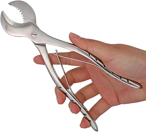 Miniatura 6 de Alicates dentales Alicates de yeso Cortador Equipo de laboratorio dentista Acero inoxidable Yeso Tijeras Material Pequeño