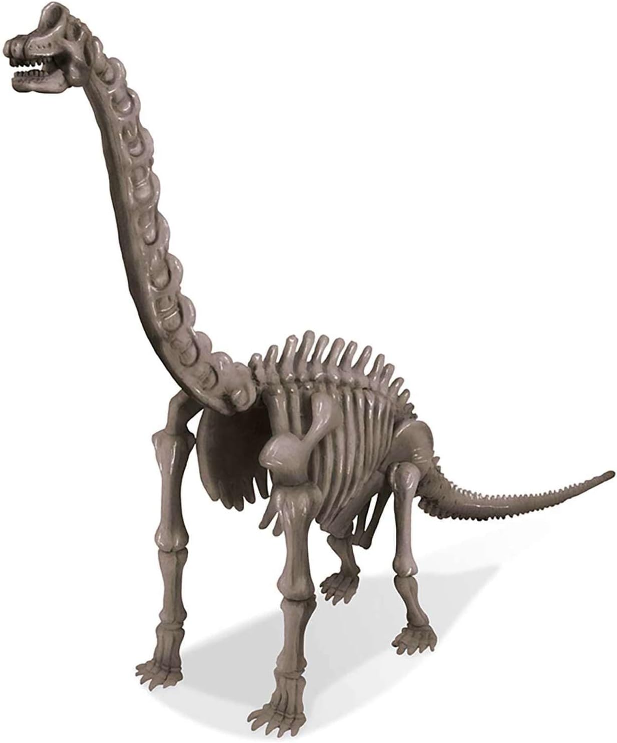 4M Dig a Brachiosaurus Skeleton Kit for Kids Ages 8-12 – Jurassic Fossil Excavation Set with 14 Realistic Bones, STEM Paleontologist Digging Kit with Hammer, Chisel & Brush, Educational Gift image 4