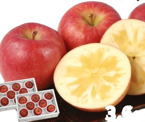 R`Y  Ƃij  3.6kg (1.8kg 6`10 ×2)