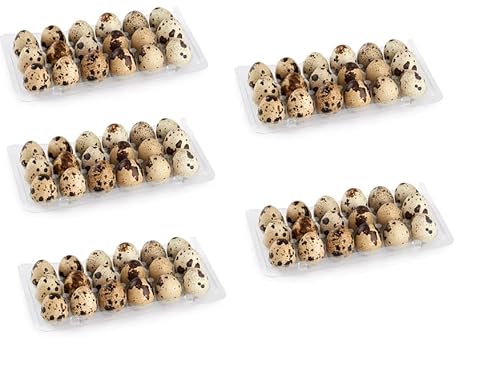 Why are quail eggs good for dogs