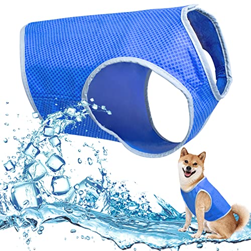 Hywean Gilet De Refroidissement pour Chien, Gilet Respirant pour Animaux Cool Manteau Chien Rafraichissant Convient Aux Petits Chiens-M (Bleu) (Bleu)