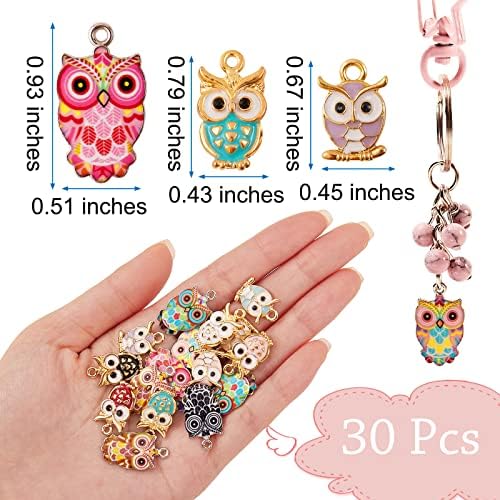 COGCHARGER 30 Pcs Owl Enamel Charms Pendants Colorful Owl Charms Pendant for Jewelry Necklace Earring Keychain Making Crafts