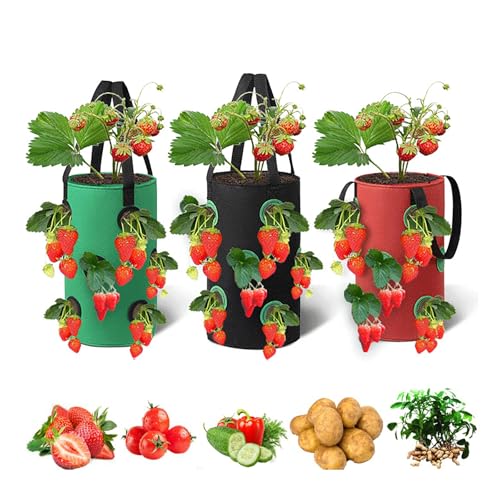 izafira Upside Down Strawberry Planter，3 Gallon...