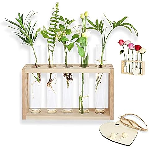 laffeya Hydroponic Plant Stand, Plant Terrarium with Wooden Stand, Wall Hanging Test Tube Planter Modern Flower Bud Vase Stand Tabletop Terrarium for Propagating Hydroponics Plant, Plant love Cover