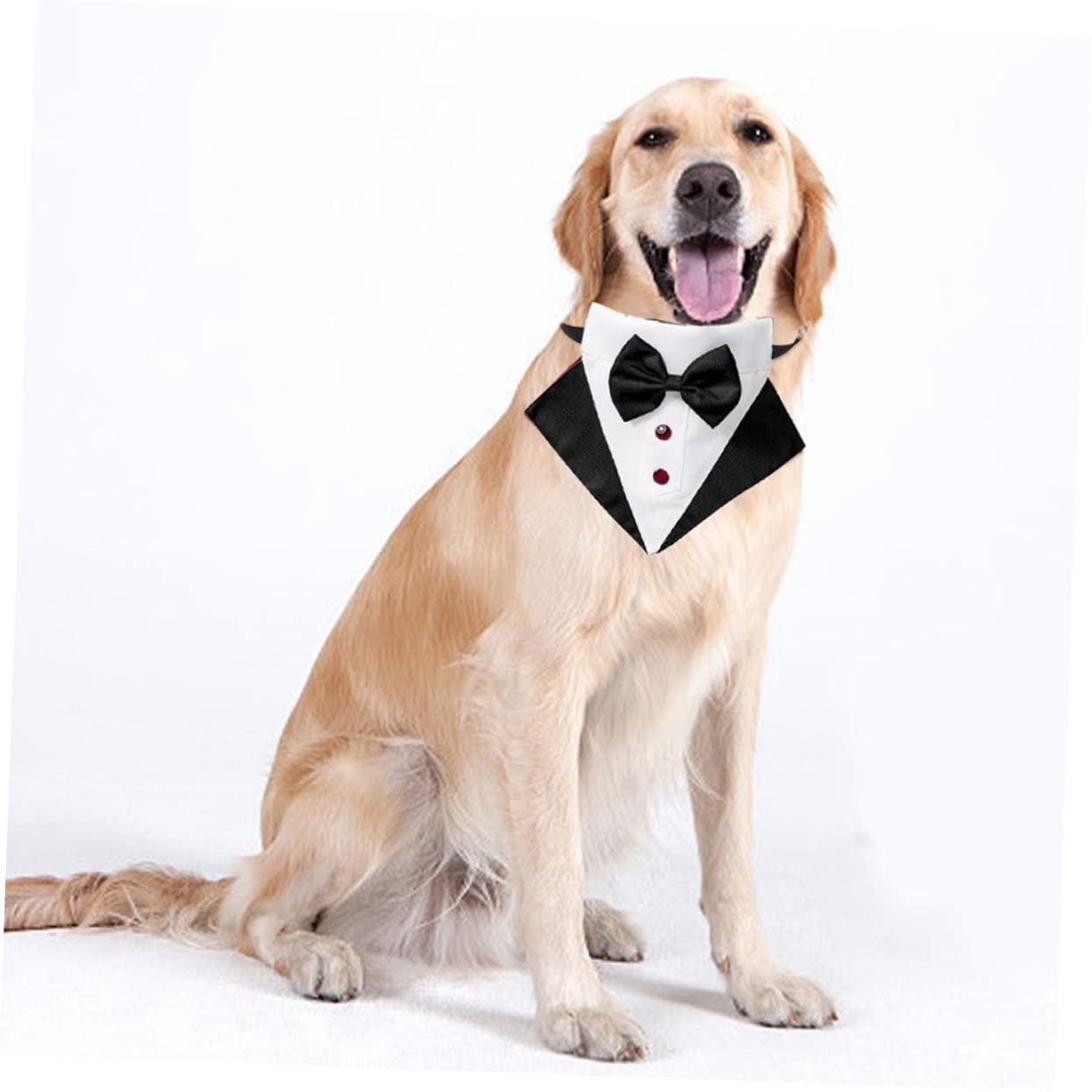 BESTonZON Costume Et Bandana pour Chien Déguisement Formel pour Animal De Compagnie Déguisement De Transport pour Chien Décoration pour
