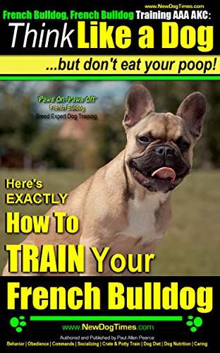 akc training tips
