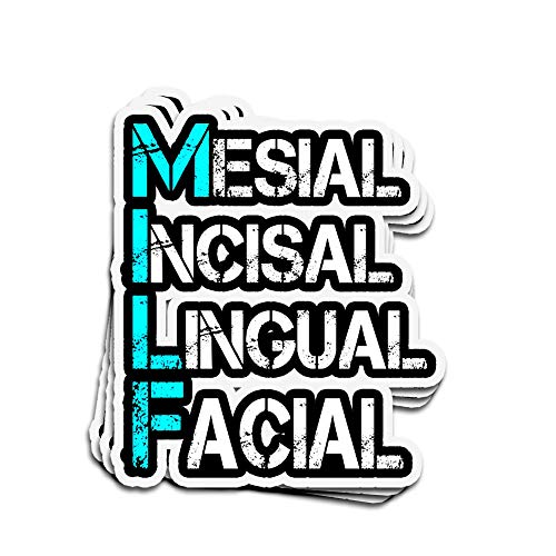 ViralTee 3 PCs Stickers Mersial Inclisual Lingual Facial Milf 4 × 3 Inch