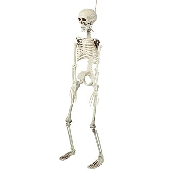 骸骨の模型 61JYYtYSm9L._AC_UL210_SR210,