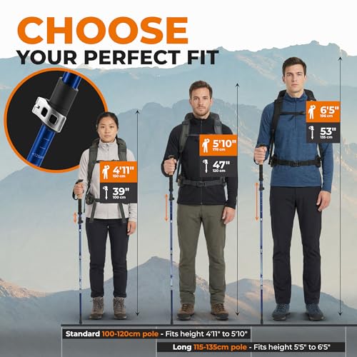 image for TREKOLOGY Trek-Z Collapsible Hiking & Trekking Poles - Balance Support