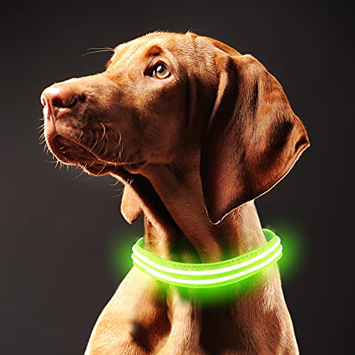 IFOAIR Led Dog Collar Rechargeable Waterproof - Super Bright Dog Flashing Collar Makes Your Puppy Seen & Safe Basic Dog Collars 4 Size Dog Collar Light 6 Colors (Green, XL)