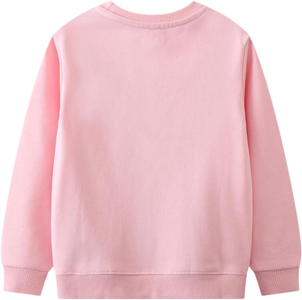 Toddler Baby Girls Sweatshirts Crewneck Pullover Long Sleeve Shirts Tops Girl Fall Winter Clothes 2-8T - Image 4