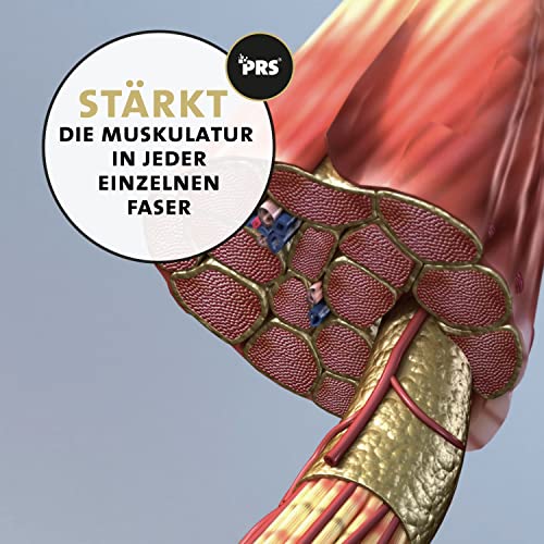 Peticare Muskelaufbau Muskelerhalt Pulver für Katzen | Mit essenziellen Aminosäuren, Kollagen | stärkt Muskeln, entlastet Gelenke | Hohe Akzeptanz | natürliches Ergänzungsfutter - petCat Health 3503