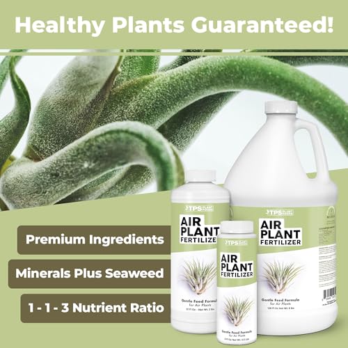Fertilizante Líquido para Plantas de Aire Tillandsia 8 oz miniatura 2