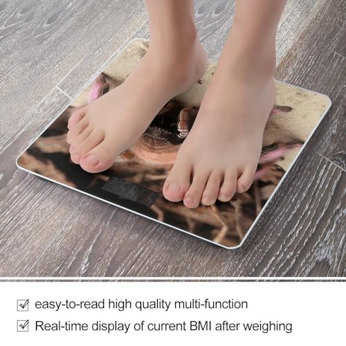 Báscula de baño digital con vidrio templado y pantalla LCD miniatura 5