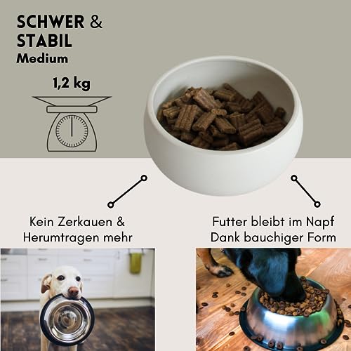hej.mo Design Hundenapf Keramik | Creme | 20 cm Durchmesser & 1,8 L Volumen | robuster Fressnapf in stilvollem Design | spülmaschinenfest | Kratz- & bissfest | Futternapf für mittlere & große Hunde