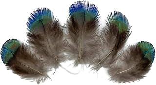 5 Pieces - Ombre Blue Green Peacock Plumage Loose Feather - Rare - Craft Supply | Moonlight Feather