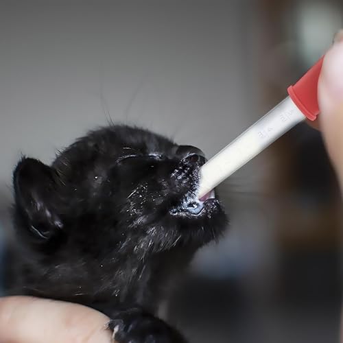 Miniatura 7 de Paquete de 20 pipetas de plástico goteros de silicona transparente de 0.2 onzas líquidas con punta de bombilla, goteros para ojos para moldes de