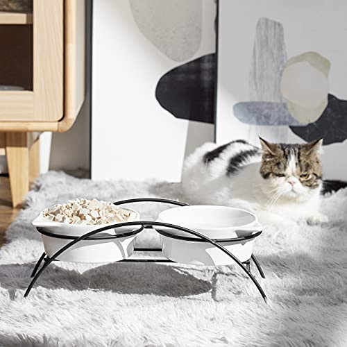 Y Yhy Cat Bowls Elevated,Raised Cat Food And Water Bowl Set, Large Pet Dishes For Adult Cats Or Medium Dogs, Ceramic Cute Cat Dishes,19 Ounces,Dishwasher Safe… #TOP5