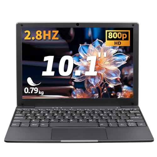 LONGEVINCE Mini Ordinateur Portable 10,1 Pouces Ultra-Mince, Processeur Intel Celeron N4020, 8Go RAM DDR4, 128Go SSD, Écran 1280x800, BT 5.0, Type-C, Mini HDMI, Poids 0,79Kg(Gris,8GB+256G SSD)